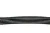 Ремінь генератора Ford Fusion 1.4/1.6i 02-12 DAYCO 5PK690EE (фото 3)