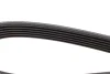 Ремень DAYCO 6PK1025 (фото 3)
