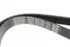 Ремінь генератора VW Caddy 1.9D/SDI -03 (WP,TP) DAYCO 6PK1035 (фото 3)