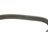 Ремінь DAYCO 6PK1059 (фото 3)