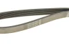 Ремінь DAYCO 6PK1059 (фото 4)