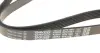 Ремінь генератора VW Golf V/VI/Passat VI/VII/Tiguan/Touran 1.4TSI/FSI/1.6 FSI 03-18 DAYCO 6PK1087 (фото 2)