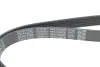 Ремінь генератора поліклиновий DAYCO 6PK1090EE (фото 4)