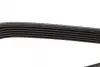 Ремінь генератора Nissan Primera/Fiat Marea 1.8-2.4JTD 96-02 DAYCO 6PK1105 (фото 4)