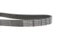 Ремінь генератора Skoda Octavia/VW Golf 1.6-2.0/1.9TDI 97-13/Passat B6/B7 1.8-2.0TSI/T5 1.9TDI 03-15 DAYCO 6PK1120S (фото 3)