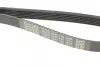 Ремінь генератора Citroen Jumper 1.9TD 94-02 (ALT,PS) DAYCO 6PK1130 (фото 5)