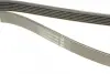 Ремінь генератора Ford Granada/Fiat Bravo 1.9D/2.0 07- DAYCO 6PK1270 (фото 3)