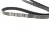 Ремінь генератора Citroen Berlingo/Fiat Scudo/Peugeot Partner 1.9D 98- DAYCO 6PK1388 (фото 2)