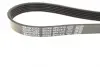 Ремінь DAYCO 6PK1415 (фото 3)