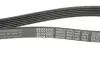 Ремень привода навесного оборудования DAYCO 6PK1435 (фото 2)