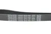 Ремінь генератора Mitsubishi ASX/Lancer 1.8 DI-D 10- DAYCO 6PK1485 (фото 4)