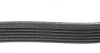 Ремінь генератора поліклиновий DAYCO 6PK1555S (фото 2)