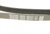 Ремінь генератора VW Crafter 2.0TDI 06- DAYCO 6PK1613 (фото 4)