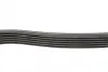 Ремінь генератора Citroen Jumper 1.9TD 94-02 (ALT,PS,AC) DAYCO 6PK1705 (фото 2)