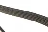 Ремінь генератора VW LT 2.5TDI 96-01/Peugeot Expert 1.9D/2.0HDI 98- DAYCO 6PK1750 (фото 4)