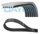 - Ремінь (поліклиновий) DAYCO 6PK1750HD (фото 1)
