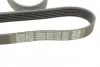 Ремінь генератора VW LT 2.5TDI 96-01/Peugeot Expert 1.9D/2.0HDI 98- DAYCO 6PK1755 (фото 4)