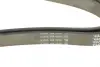 Ремінь генератора MB W202/203/VW/Audi 2.4/2.8i DAYCO 6PK1760 (фото 4)