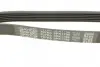 Ремень привода навесного оборудования DAYCO 6PK1795 (фото 4)