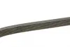 Ремінь генератора Toyota Corolla 00-02 DAYCO 6PK1820 (фото 2)