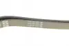 Ремінь генератора Toyota Corolla 00-02 DAYCO 6PK1820 (фото 4)