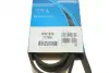 Ремінь генератора Toyota Corolla 00-02 DAYCO 6PK1820 (фото 6)