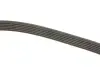 Ремінь генератора VW Crafter 2.5TDI (-AC) /MB OM601/602 (+PS) DAYCO 6PK2000 (фото 3)