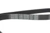 Ремінь генератора VW T4 2.4D/2.5 90-03 (PS) DAYCO 6PK2063 (фото 4)