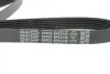 Ремінь генератора MB C-class (W203) 00-02 DAYCO 6PK2135 (фото 2)