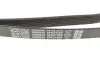 Ремінь П-клиновий =&quot;&quot; DAYCO 6PK2150S (фото 3)