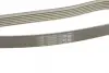 Ремінь генератора BMW 5 (E60) 2.5/3.0D 04-10 (M57) DAYCO 6PK2160S (фото 4)