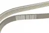 Ремінь генератора BMW 5 (E60) 2.5/3.0D 04-10 (M57) DAYCO 6PK2160S (фото 5)