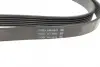 Ремінь генератора MB Vito OM611 (+AC) DAYCO 6PK2170 (фото 3)