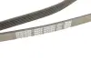 Ремінь генератора MB Sprinter CDI (-AC) (з обводним роликом) DAYCO 6PK2255 (фото 5)