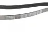 Ремінь генератора MB W124/S124 M104 -98 DAYCO 6PK2325 (фото 2)
