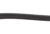 Ремінь DAYCO 6PK2404 (фото 4)