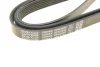 Пас поліклиновий Hyundai Santa Fe 12-15/Jeep Patri DAYCO 6PK2550 (фото 5)