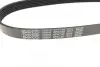 Ремінь генератора Citroen Berlingo/Fiat Ducato 1.9 D/TD 96-03 DAYCO 6PK730 (фото 3)