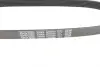 Ремінь генератора Citroen C1/Peugeot 107/Toyota Aygo 1.0 i 05-14 DAYCO 6PK850 (фото 4)