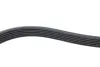 Ремінь генератора Toyota Corolla/Auris/Yaris 1.4 D 04-14 DAYCO 6PK966 (фото 3)