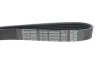 Ремінь генератора Toyota Corolla/Auris/Yaris 1.4 D 04-14 DAYCO 6PK966 (фото 4)
