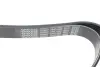 Пас поліклиновий Toyota RAV4 2.0 4WD 00- DAYCO 7PK1595 (фото 3)