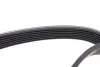 Пас поліклиновий Toyota RAV4 2.0 4WD 00- DAYCO 7PK1595 (фото 4)