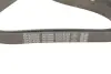 Ремінь генератора Renault Master III 2.3dCi 10-/Renault Trafic 1.6dCi 14- (+AC) DAYCO 7PK1673S (фото 5)