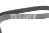 Ремінь генератора Renault Megane/Scenic 1.4 09-/Honda Accord/CR-V 2.2 i-CTDi 04- DAYCO 7PK1784 (фото 3)