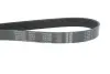 Ремінь генератора VW Touareg 4.2 V8 02-06 DAYCO 7PK2365 (фото 4)