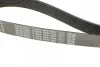 Ремінь генератора Mazda CX-7 2.2MZR-CD AWD 09-13 DAYCO 8PK1295 (фото 4)