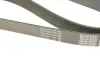 Ремень генератора Jeep Cherokee 2.5Tdi 4x4 96-01/Opel Frontera A 2.5TDS 96-98 DAYCO 8PK2190 (фото 5)