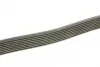 Ремінь генератора MB S-class (W140) 91-98 DAYCO 8PK2465 (фото 2)