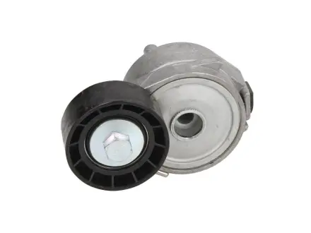 Натяжник ременя генератора Citroen Berlingo/C4/Peugeot 307 1.6 16V 08- DAYCO APV2556